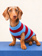 Polo Rayas Pets