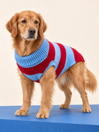 Polo Rayas Pets