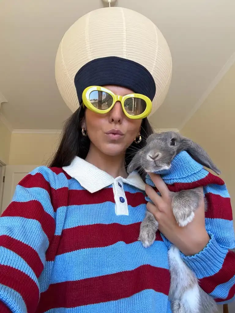 Polo Rayas Pets