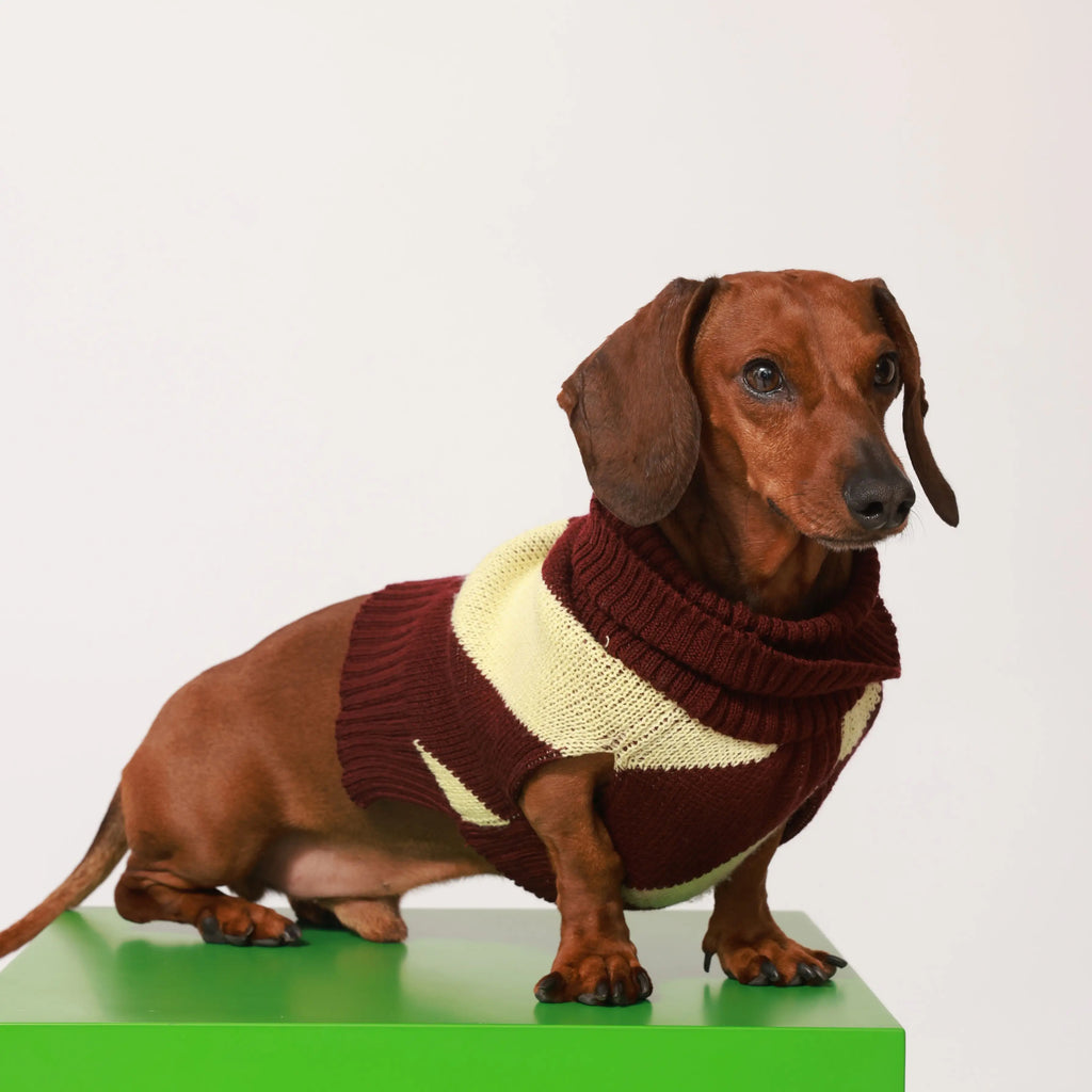 Saco Diagonales Pets