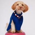 Saco Espiral Pets