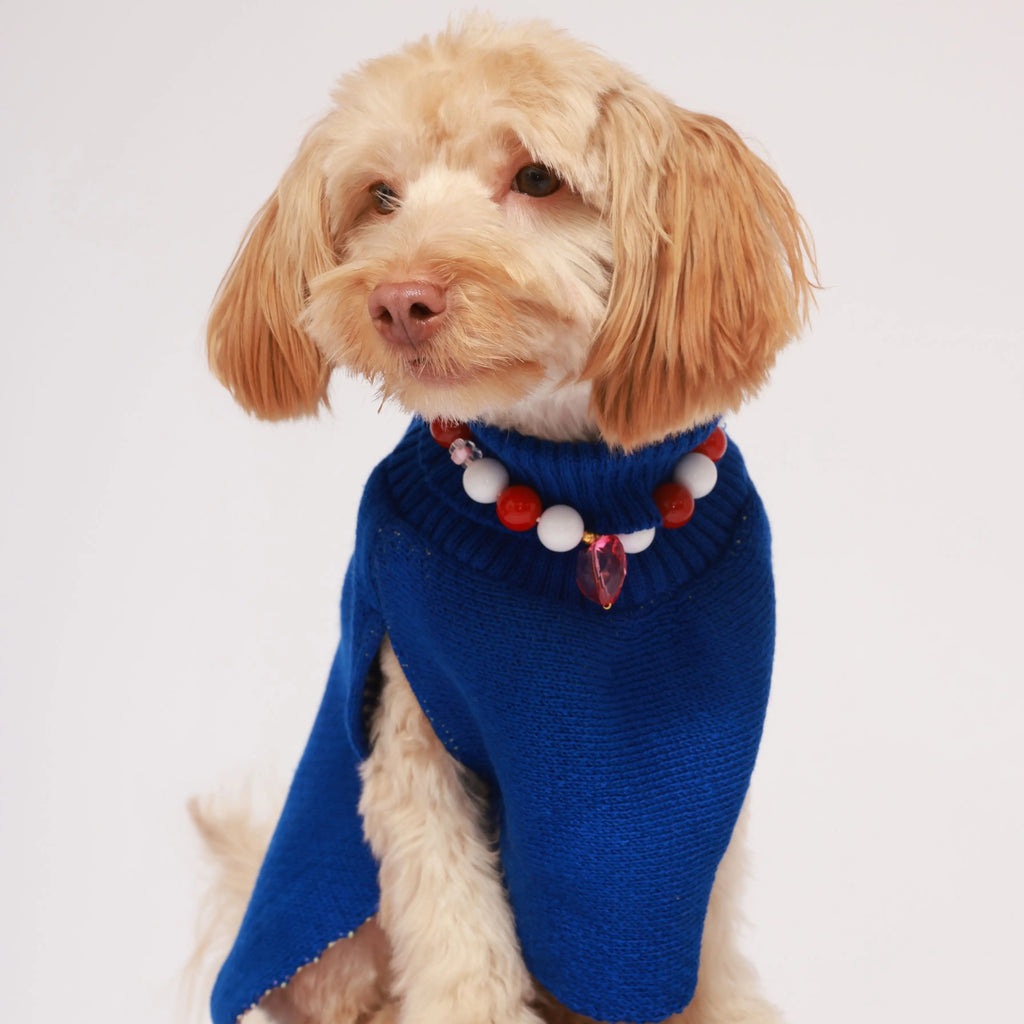 Saco Espiral Pets