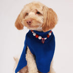 Saco Espiral Pets