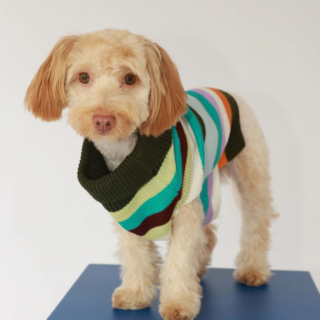 Saco Horizonte Pets