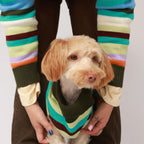 Saco Horizonte Pets