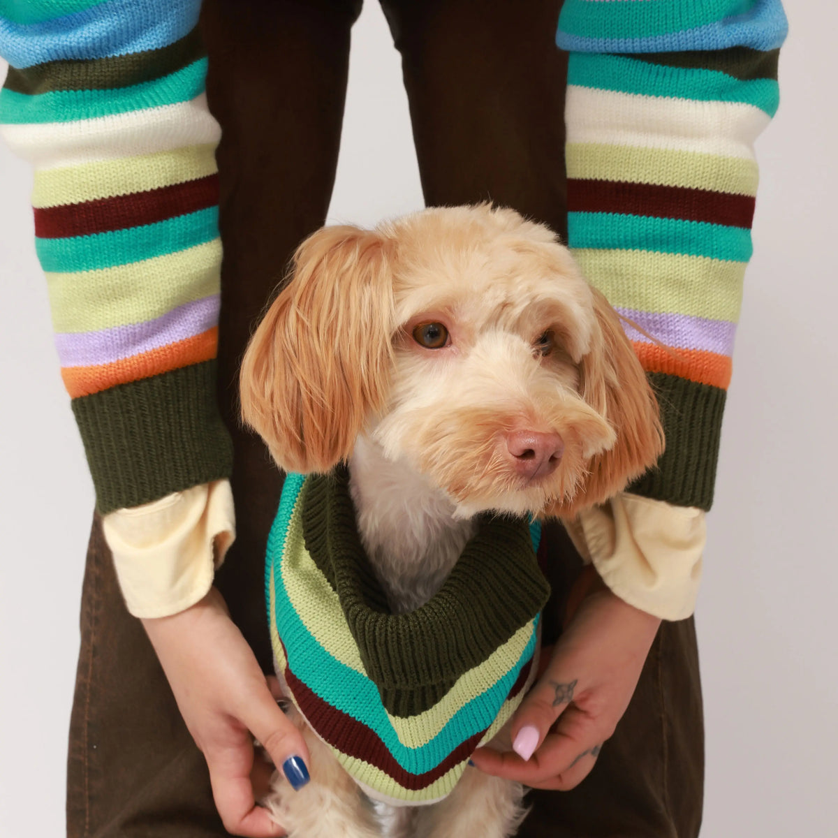 Saco Horizonte Pets