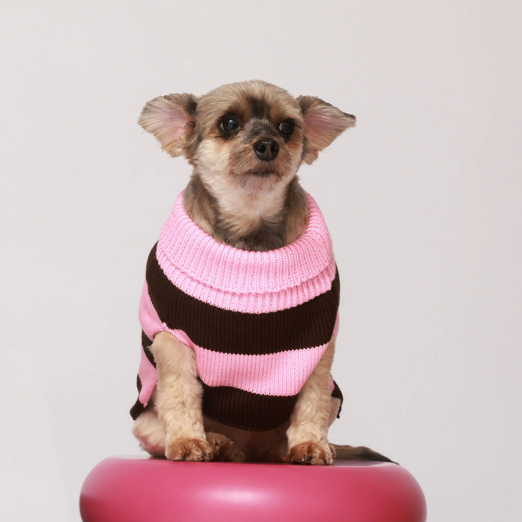 Sweater Rayas Rosado y Café Pets