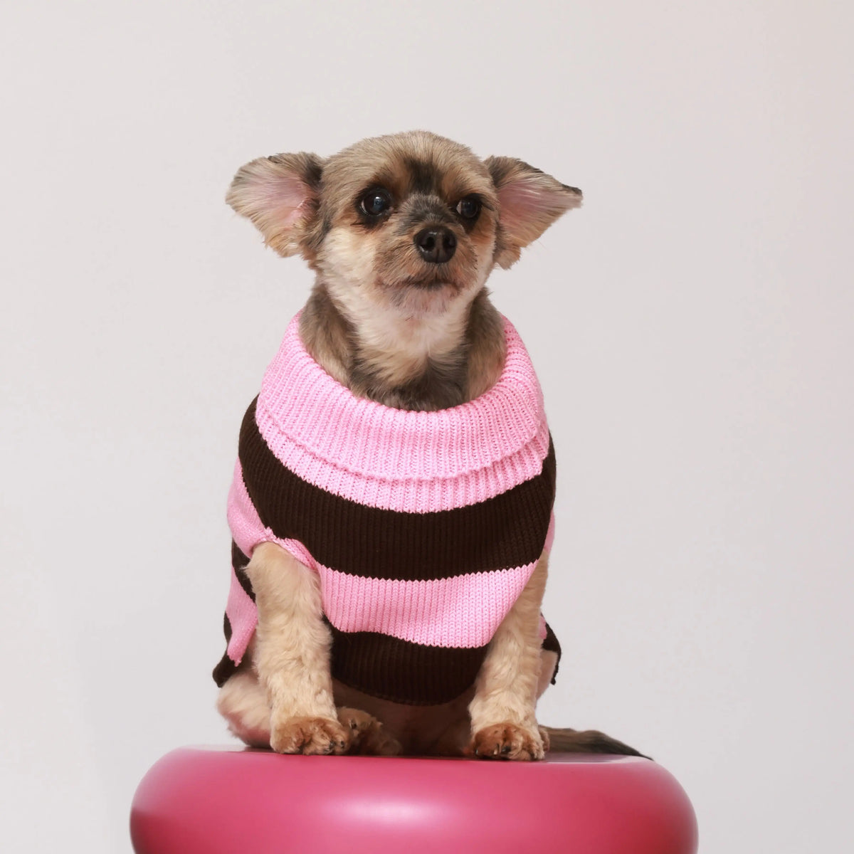Sweater Rayas Rosado y Café Pets
