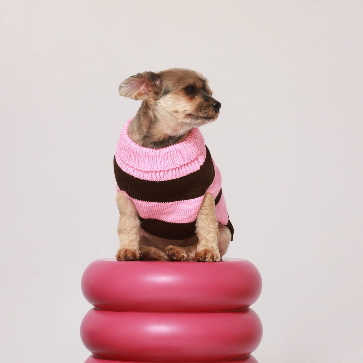 Sweater Rayas Rosado y Café Pets