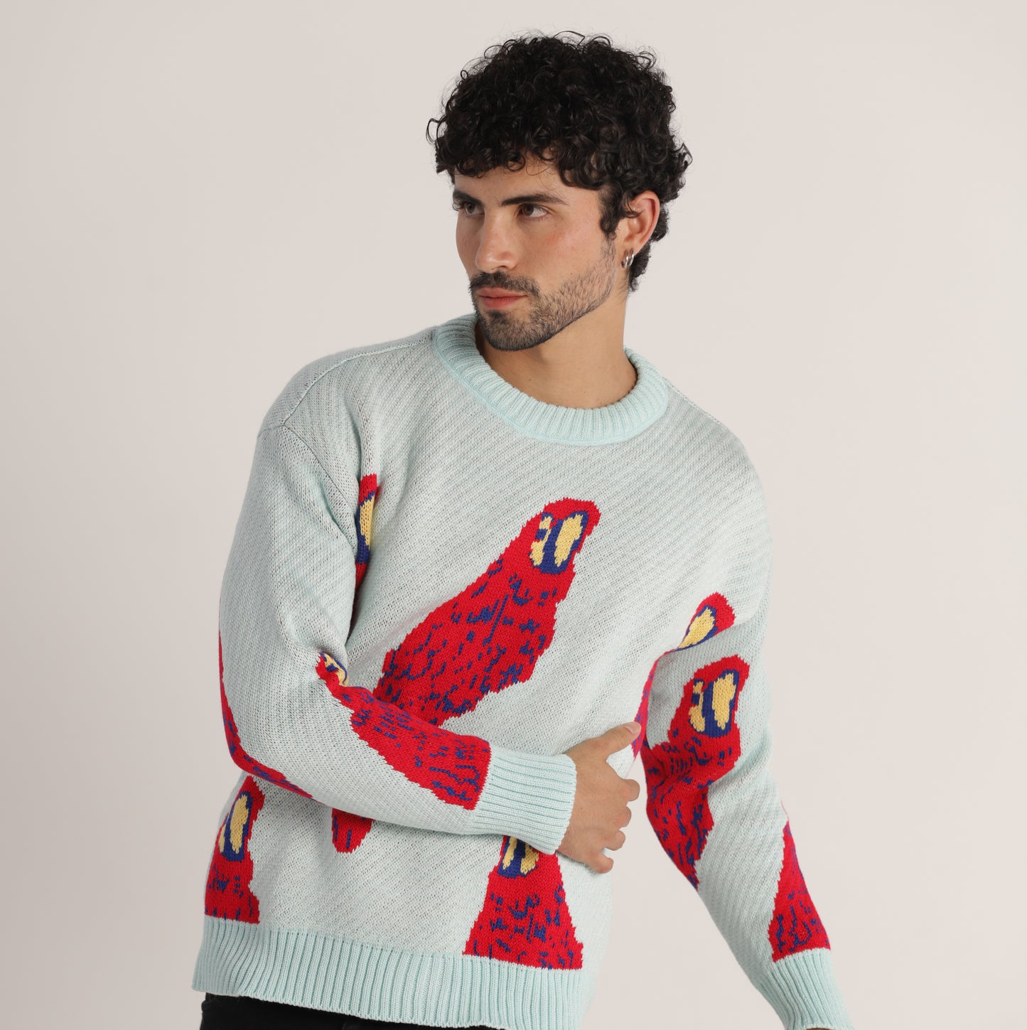 Sweater Guacamayas Hombre